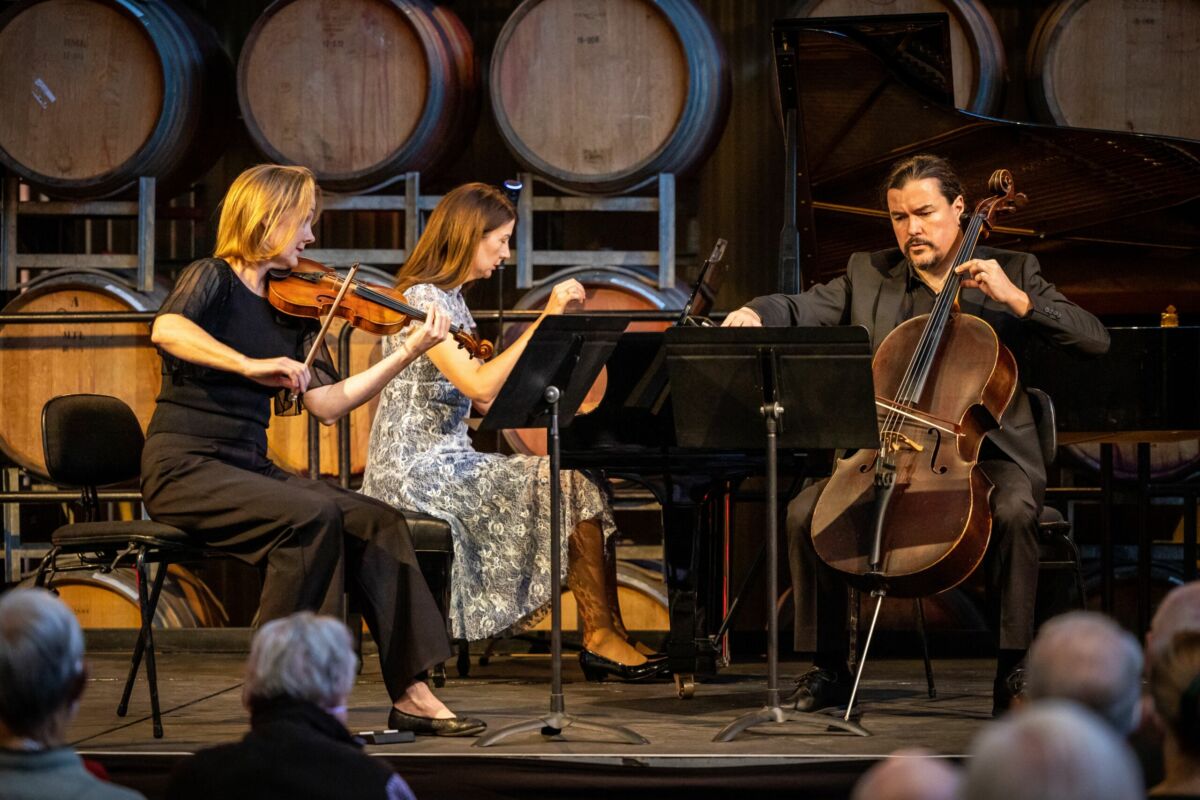 Helen Ayres, Anna Goldsworthy and Simon Cobscroft perform at the 2022 Coriole Music Festival. © Photos by Jamois.