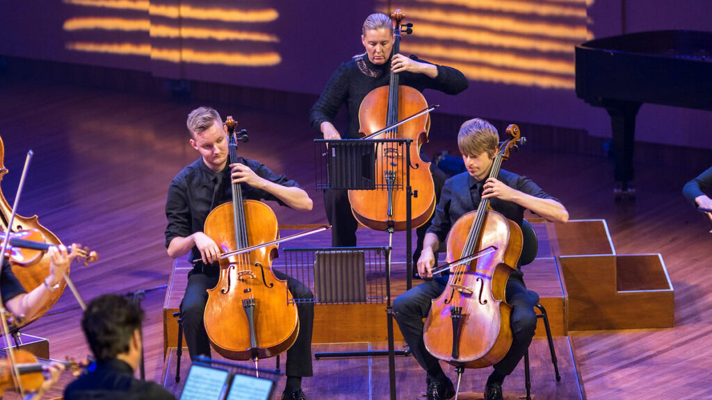 Heartstrings (Camerata)