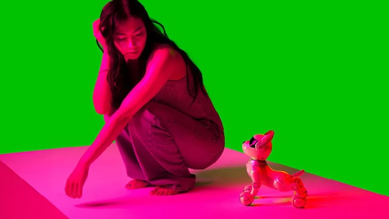 RobotDog_800x480 copy