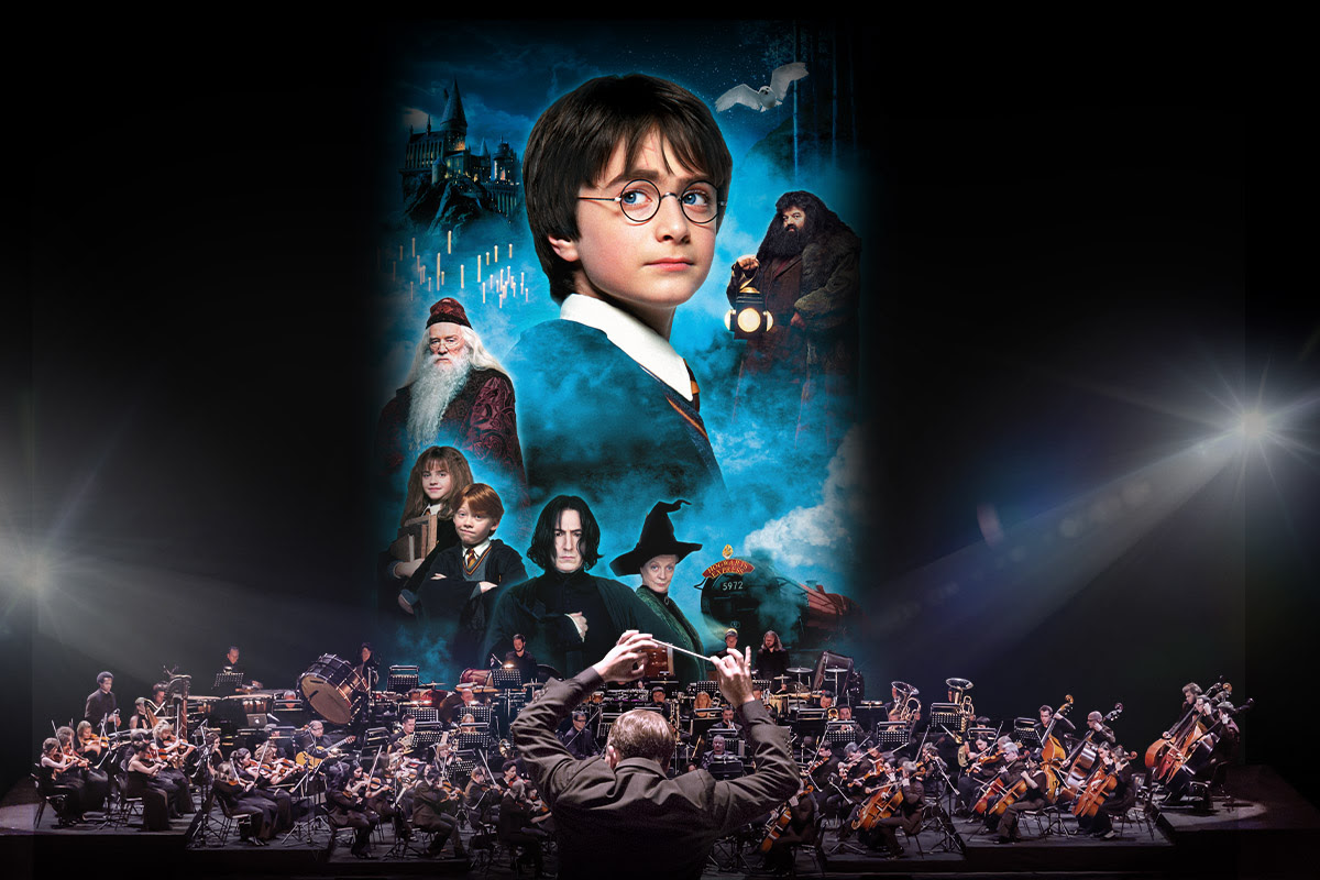 Harry Potter 2025