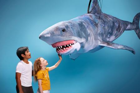 Erth’s Shark Dive: Live on Stage