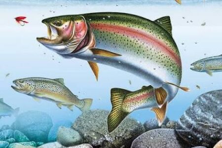 Schubert and Brahms – The Trout and the Trio