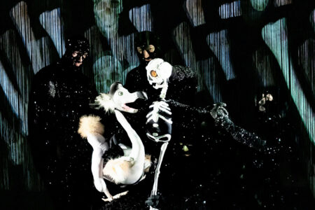 Dead as a Dodo